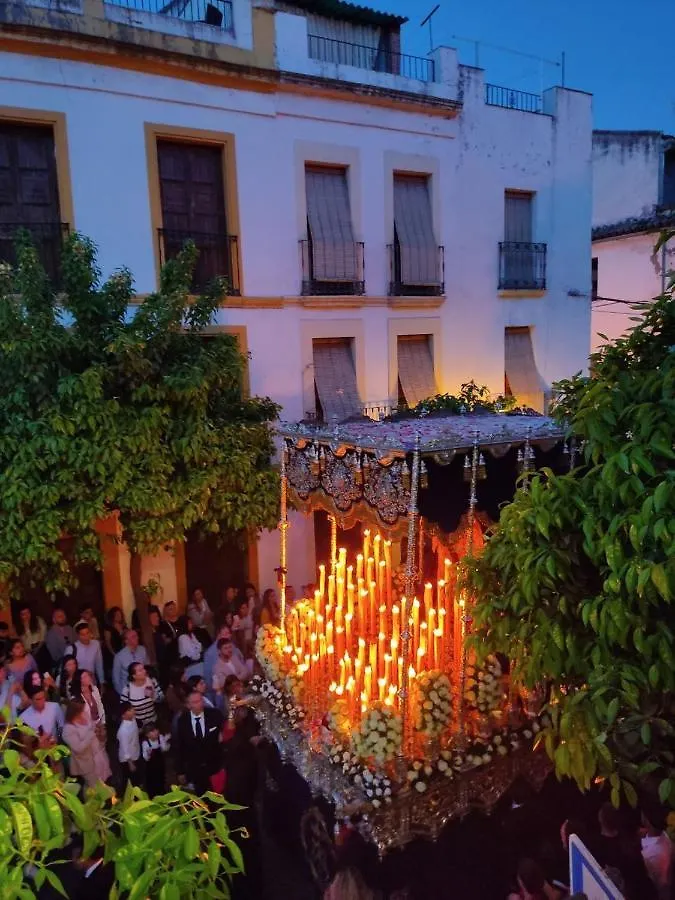 La Muralla De San Fernando De Cordoba 0*,